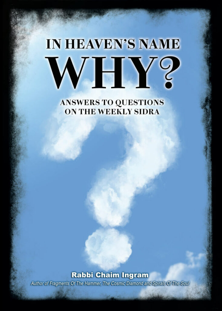 In Heaven's Name Why?: Answers to Questions on the Weekly Sidra by Rabbi Chaim Ingram